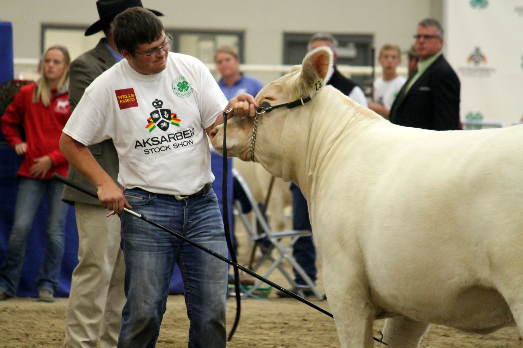 StockShow3 (copy)